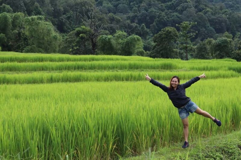 Private Doi Inthanon With Trekking Pha Dok Siew Nature Trail - Doi Inthanon: What to Expect from the Tour