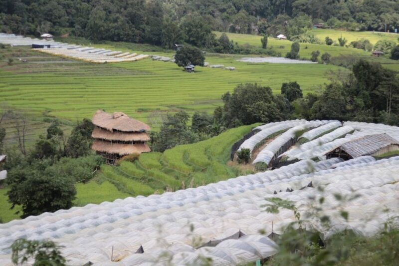 private-doi-inthanon-with-trekking-pha-dok-siew-nature-trail