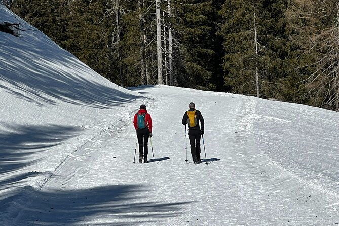 private-dolomites-winter-day-tour-from-venice