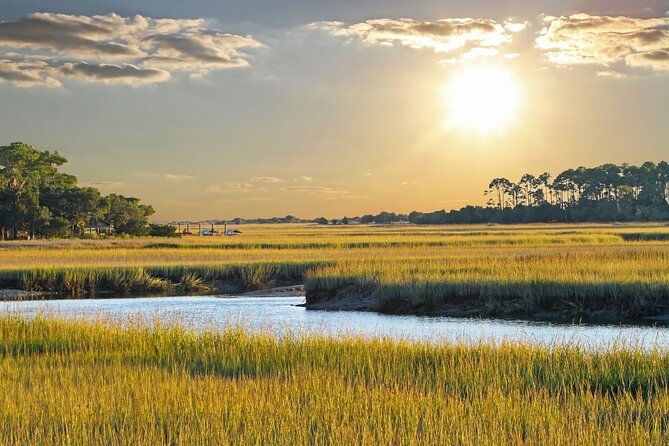 private-dolphin-and-nature-tour-of-hilton-head