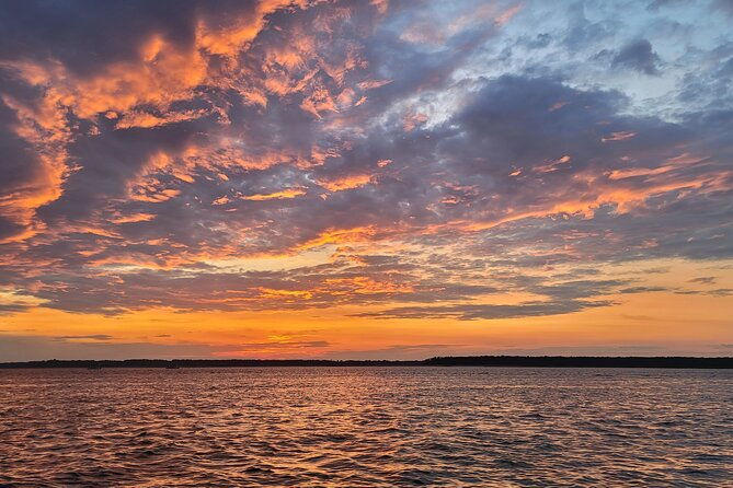 private-dolphin-boat-tour-in-hilton-head-island