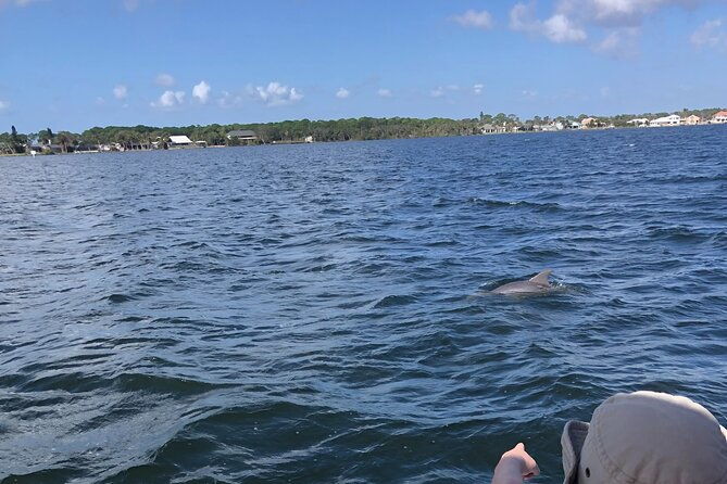 private-dolphin-catamaran-sail-in-cocoa-beach
