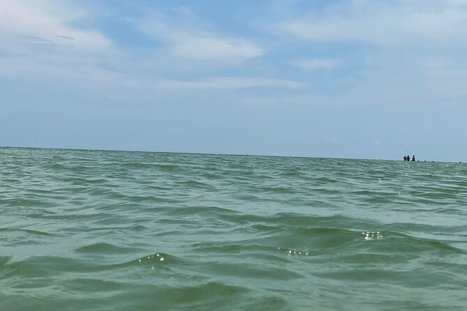 private-dolphin-sightseeing-boat-day-tour-2