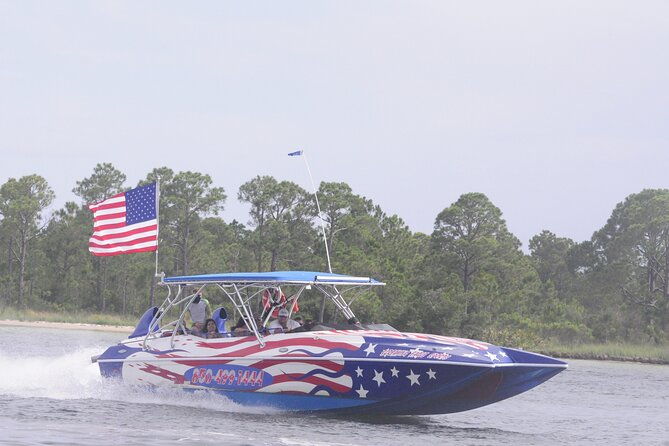 private-dolphin-spotting-thrill-ride-in-destin