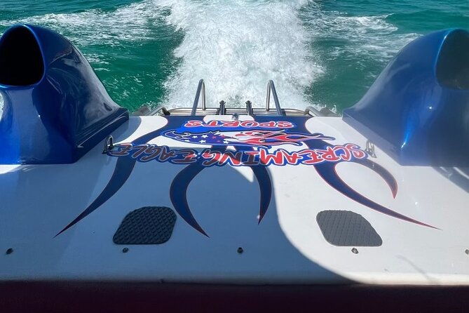 private-dolphin-spotting-thrill-ride-in-destin