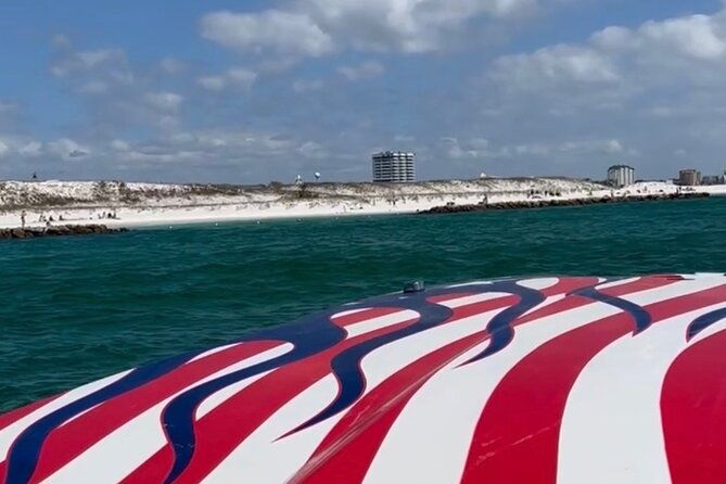 private-dolphin-spotting-thrill-ride-in-destin