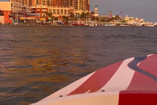 private-dolphin-spotting-thrill-ride-in-destin