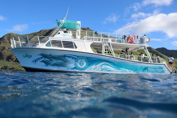 private-dolphin-swim-with-slide-for-up-to-15-passengers-2