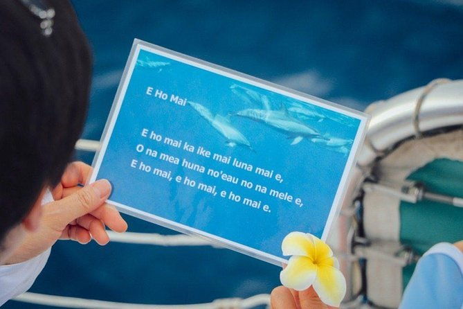 private-dolphin-swim-with-slide-for-up-to-15-passengers-2
