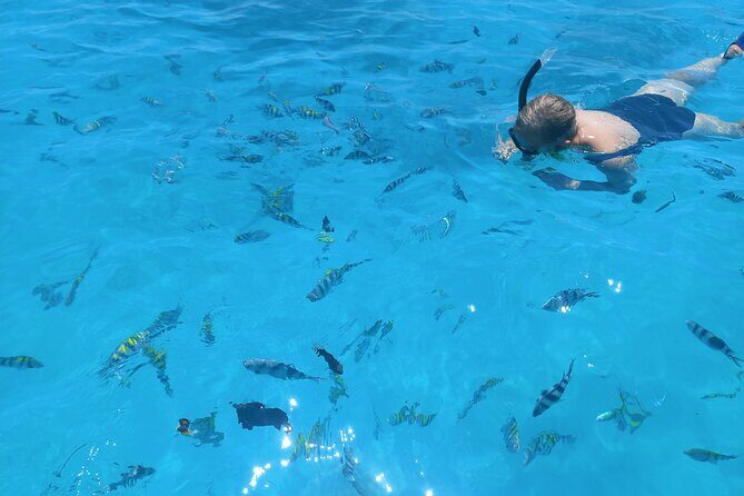 Private Dolphin Tour and Snorkeling at Mnemba Island reef - Final Thoughts: Is This Tour Worth It?