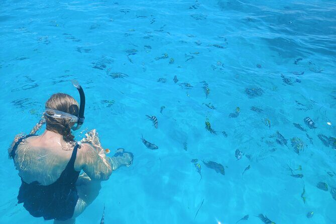 Private Dolphin Tour and Snorkeling at Mnemba Island reef - About the Provider
