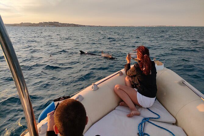 Private Dolphin Watching And Snorkeling Tour - An Honest Look at the Private Dolphin Watching and Snorkeling Tour in Hurghada