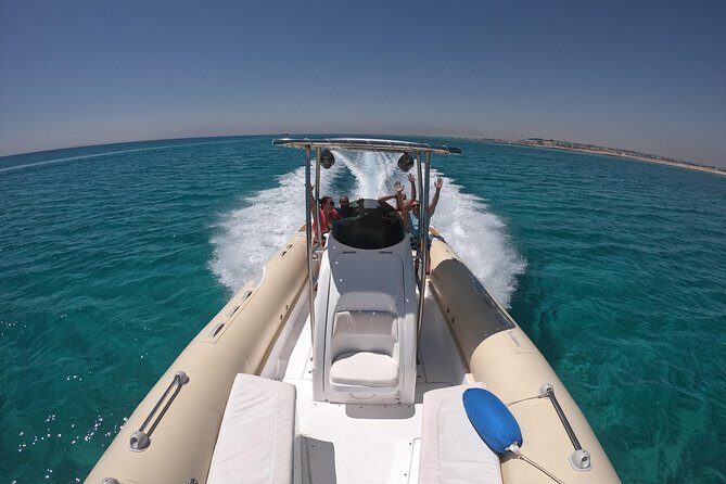 Private Dolphin Watching And Snorkeling Tour - Key Points