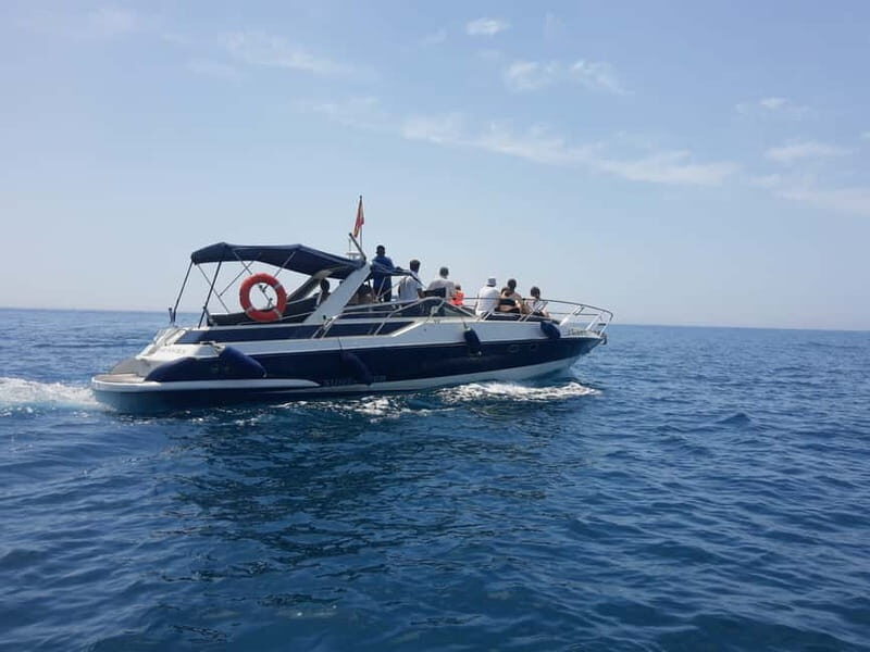 PRIVATE DOLPHIN WATCHING SUNSEEKER WITH DRINKS ON FUENGIROLA - Who is This Tour Best For?