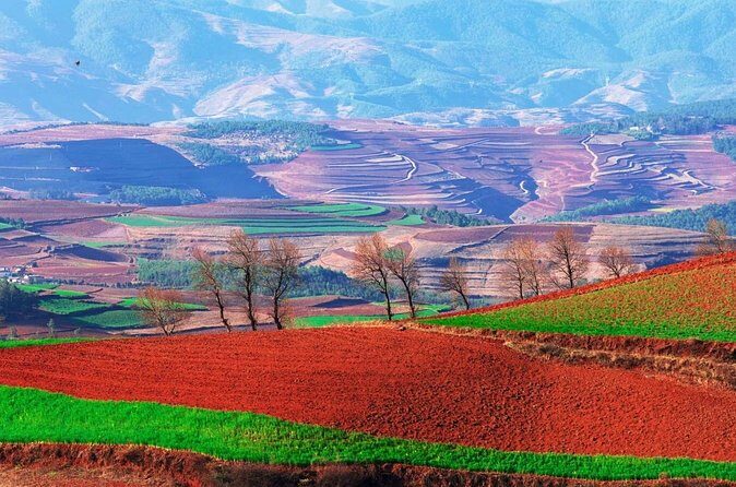 Private Dongchuan Red Land Sightseeing Day Tour from Kunming - FAQ