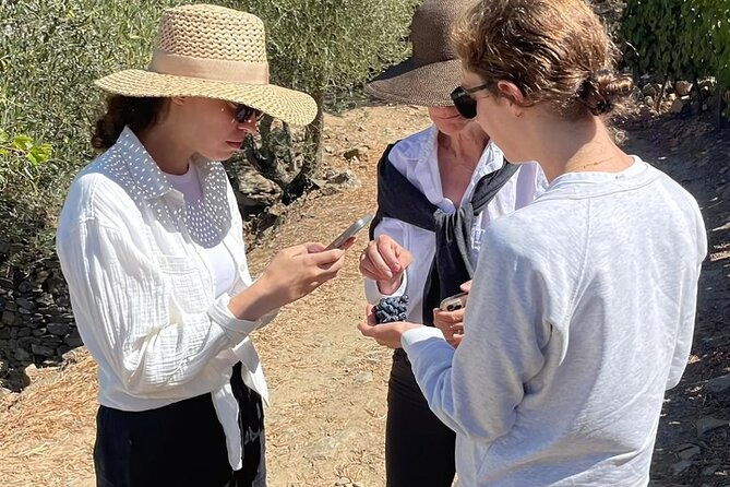 private-douro-4x4-adventure-from-porto