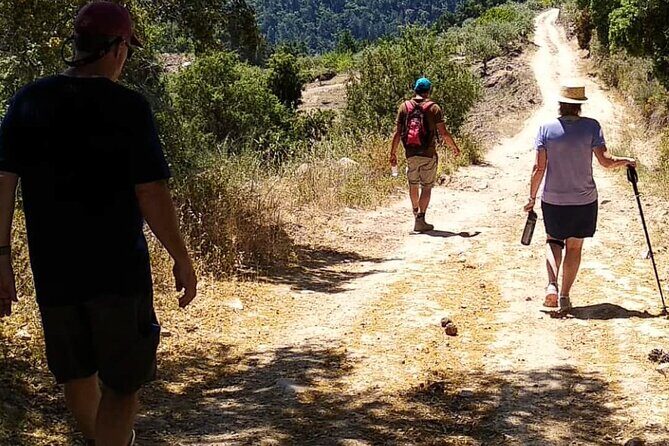 Private Douro and Porto 4x4 Tour with Wine Tasting and Boat Trip - Authentic Experiences That Make This Tour Special  