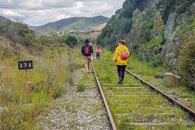 Private Douro and Porto 4x4 Tour with Wine Tasting and Boat Trip - Final Thoughts: Is This Tour for You?  