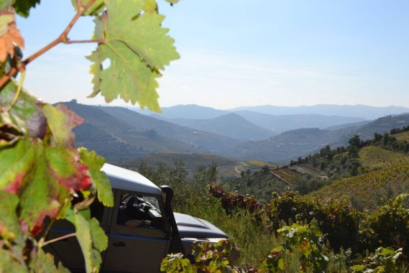 private-douro-valley-4wd-tour-with-wine-tasting-and-picnic