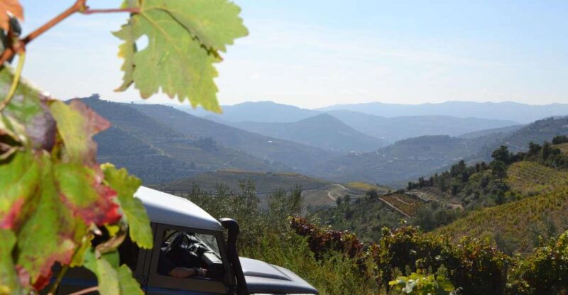 private-douro-valley-4wd-tour-with-wine-tasting-and-picnic
