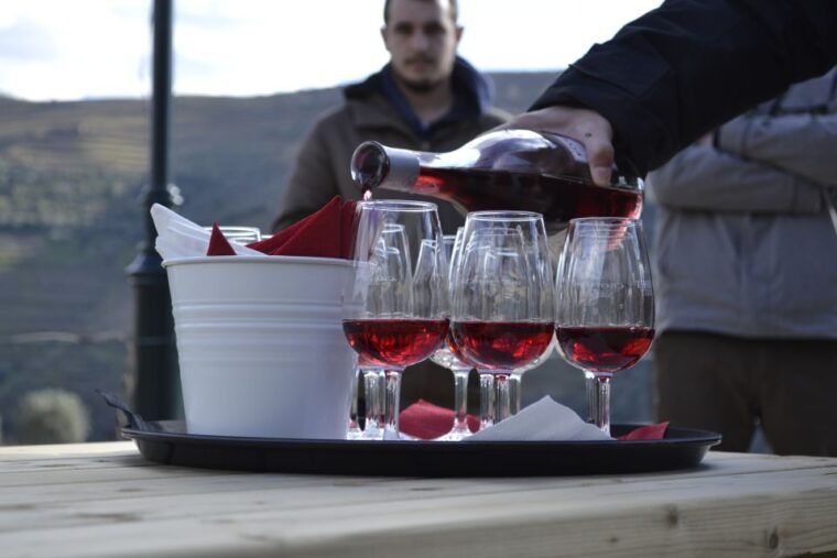 private-douro-valley-4wd-tour-with-wine-tasting-and-picnic