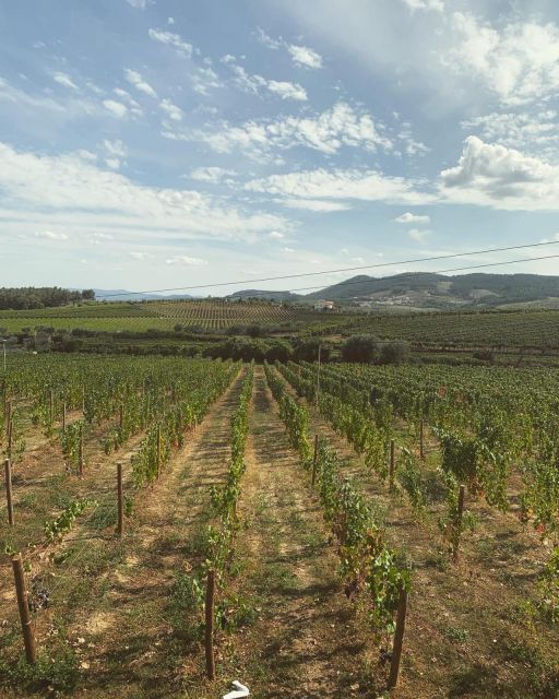 private-douro-valley-full-day-tour