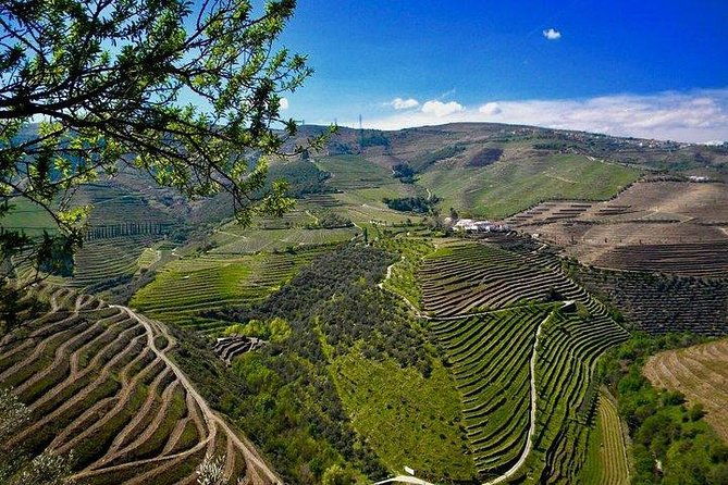 private-douro-valley-senses-experiences