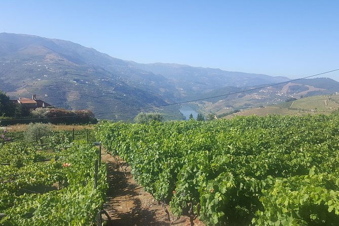 private-douro-valley-senses-experiences
