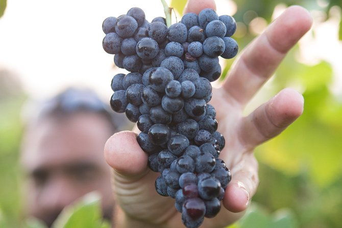 private-douro-valley-senses-experiences