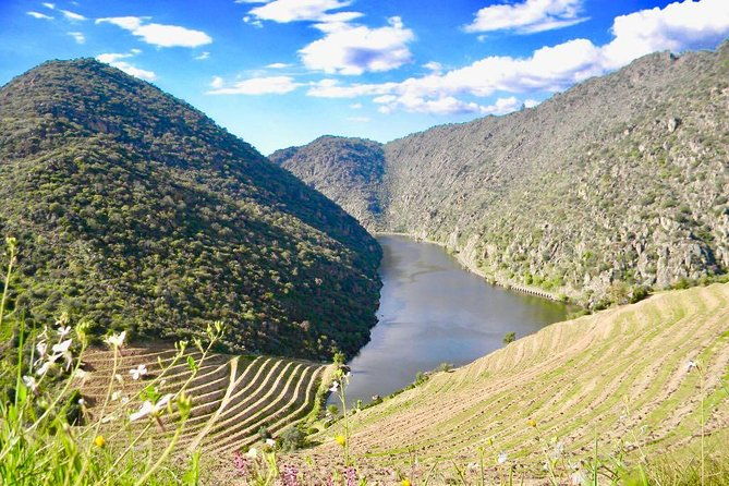 private-douro-valley-senses-experiences