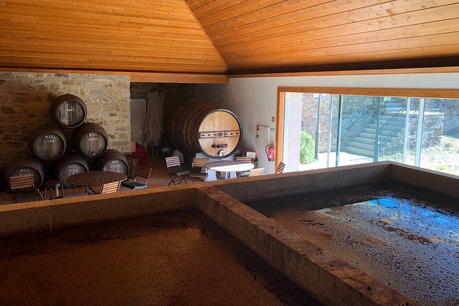 Private Douro Valley Tour from Porto - The Heart of the Tour: Stops and Experiences
