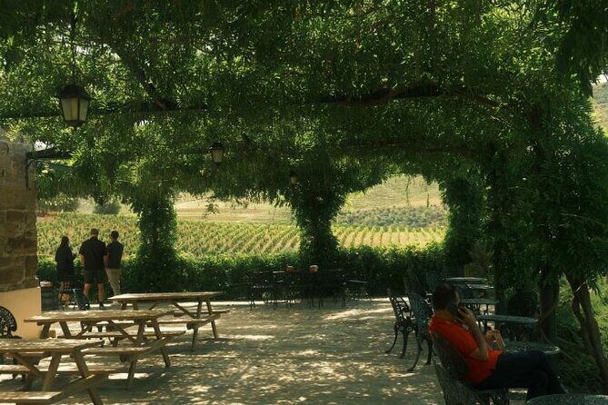 Private Douro Valley Tour with Lunch & Wines - The Wine & Food Experience: Why It Works