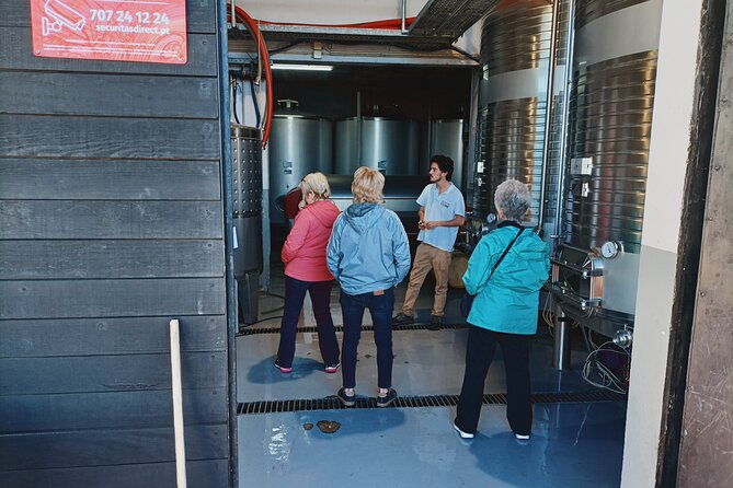 private-douro-valley-tour-with-sommelier-lunch-and-wine-tasting