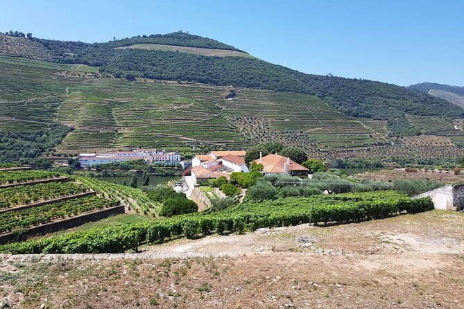 private-douro-valley-visit-to-three-vineyards-with-lunch-from-porto