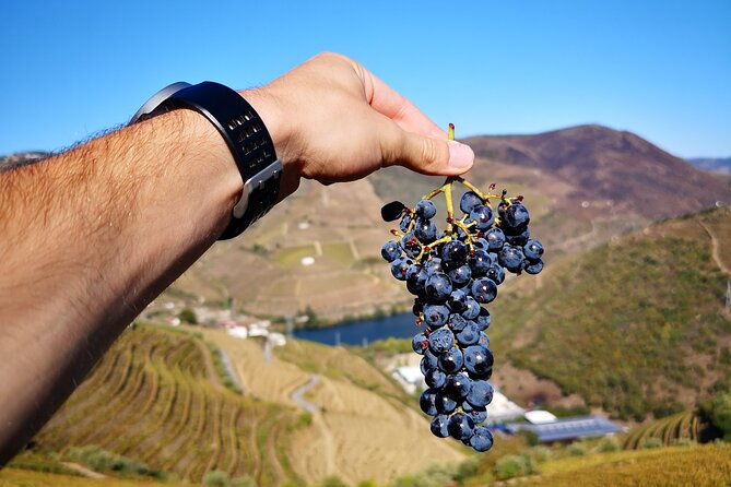 private-douro-valley-wine-tour-lunch-and-boat-cruise