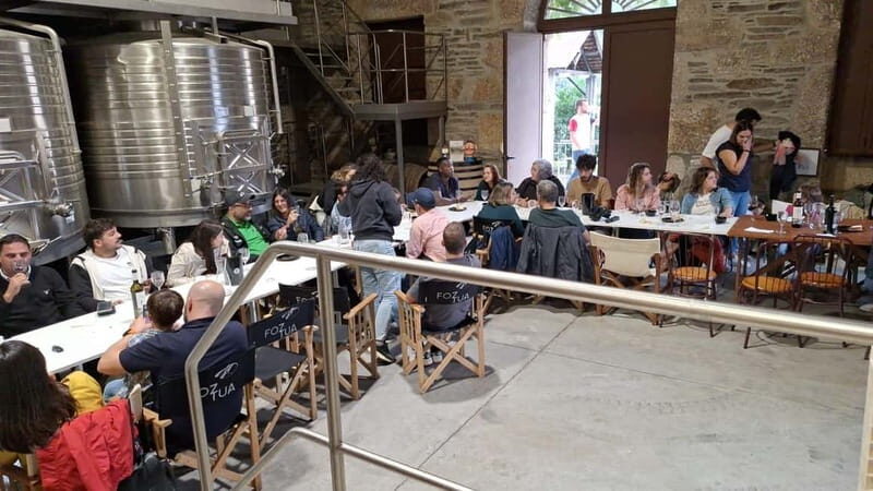 Private Douro Wine Experience - Full Day in the Douro Valley - Final Thoughts: Who Would Love This Experience?