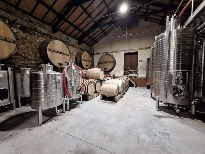 Private Douro Wine Experience - Full Day in the Douro Valley - FAQ