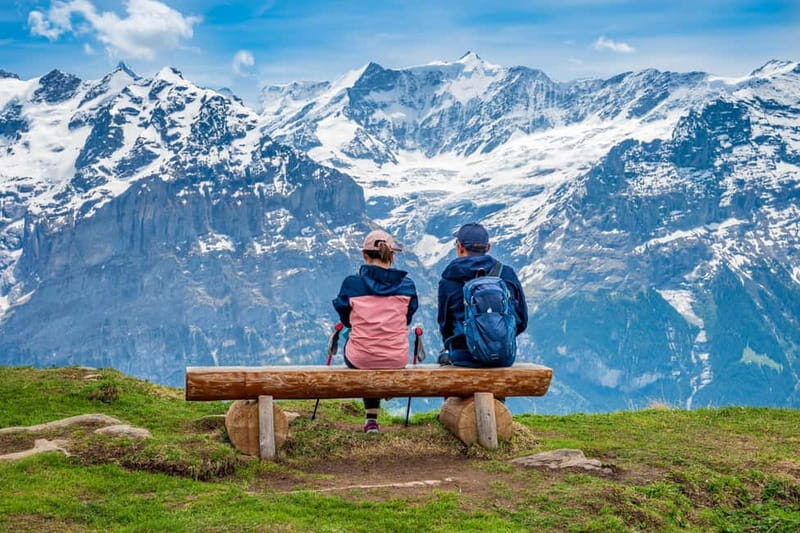 Private driver for tour from Zurich to Jungfraujoch and back - Why Choose This Tour?
