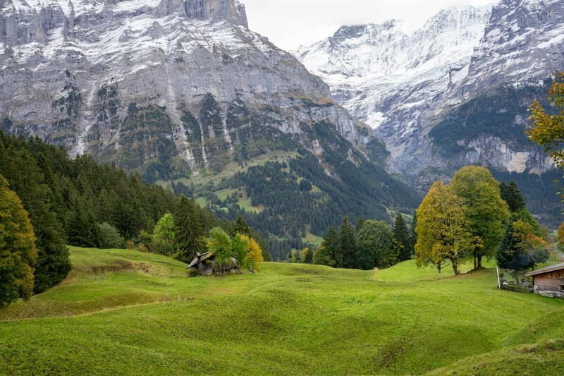 Private driver for tour from Zurich to Jungfraujoch and back - Final Thoughts: Who Is This Tour Best For?