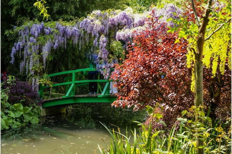 Private Driver Service - Luxury Sightseeing Tour to Giverny - Transportation and Vehicle Details