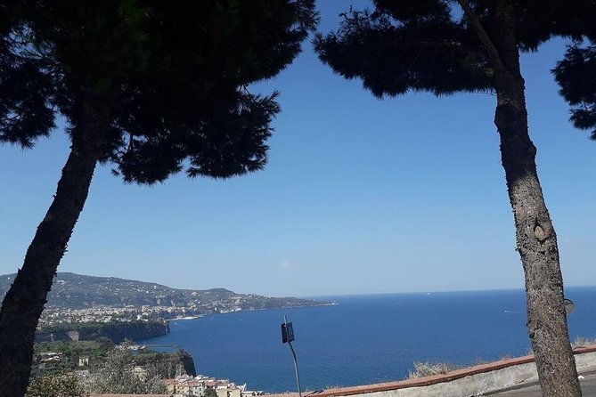 private-driver-vip-tour-of-sorrento-its-food-delicacies