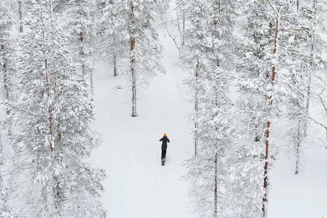 private-driving-snow-scooters-experience-in-finland-2