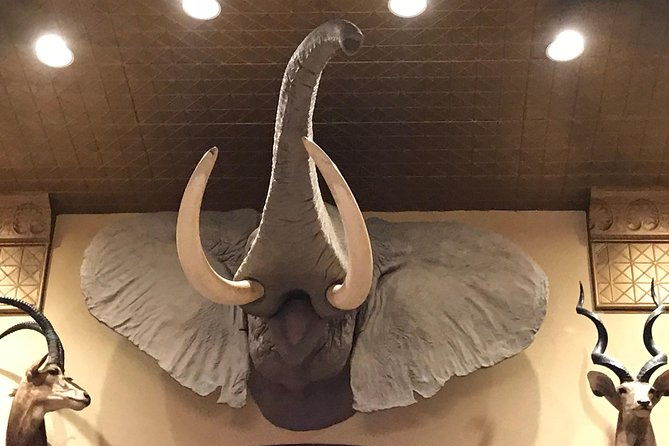 private-drunk-history-tour-featuring-texas-oldest-hotel-saloon
