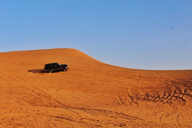Private Dubai Day Tour: Multiple Options, Including Sharing - Final Thoughts: Who Is This Tour Best For?