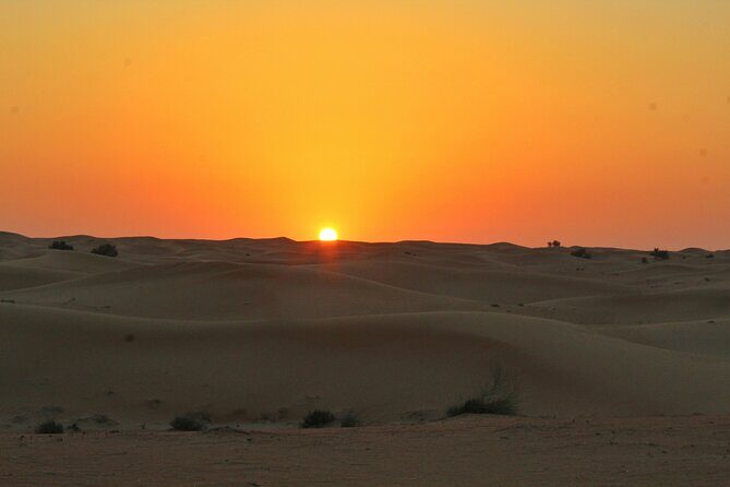 Private Dubai Day Tour: Multiple Options, Including Sharing - FAQ