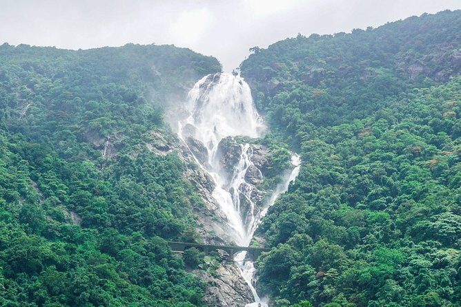 Private Dudhsagar waterfalls & Spice Plantation with Lunch from Mormugao Port - An In-Depth Look at the Itinerary