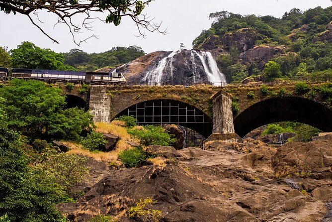 Private Dudhsagar waterfalls & Spice Plantation with Lunch from Mormugao Port - Who Should Consider This Tour?