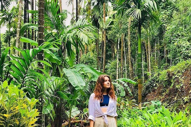 Private Dudhsagar waterfalls & Spice Plantation with Lunch from Mormugao Port - Frequently Asked Questions