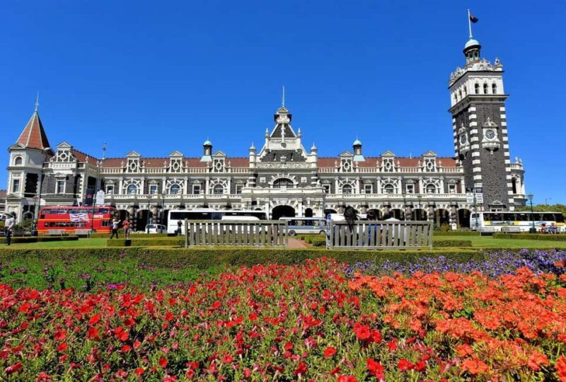 Private Dunedin City Highlights and Otago Peninsula Day Tour - Everything You Need to Know About the Tour