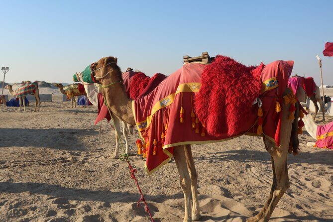 Private Dunes Bashing | Desert Safari | Sand Boarding - Key Points